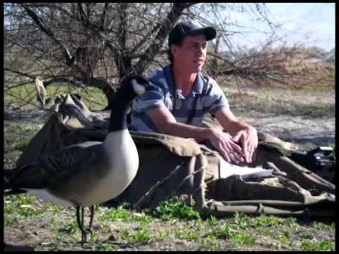 frcc-forestry,-wildlife-&-natural-resources-high-school-program
