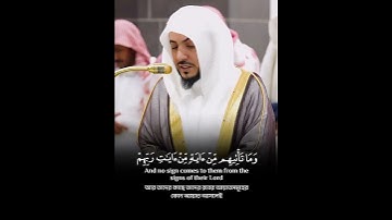 تلاوة مباركة خاشعة بصوت يلامس القلوب #اكسبلور #المصحف #حالات_واتس #القران