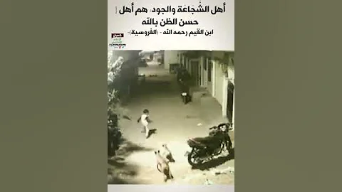 الطفل الشجاع يقف بقوة أمام هجوم الكلاب 