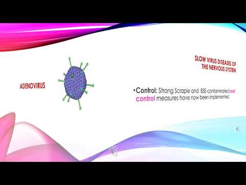 Video: ❶ Kaip Gydyti Adenovirusinę Infekciją