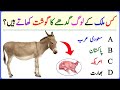 Which Country Eats Donkey Meat? 😱 | Top 20 Shocking World GK MCQs 🌍🔥 ‎#fivequiz 