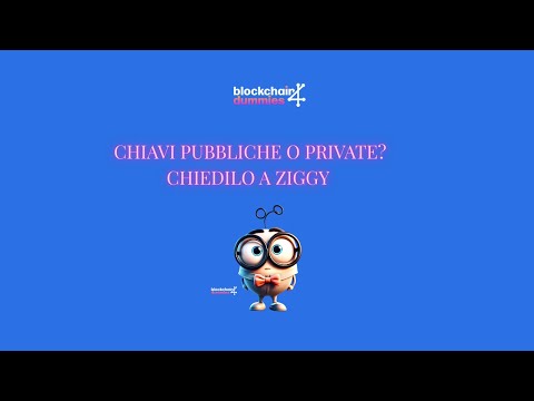 Ziggy spiega le chiavi pubbliche e private