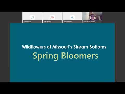 Wildflowers of Missouri Streams