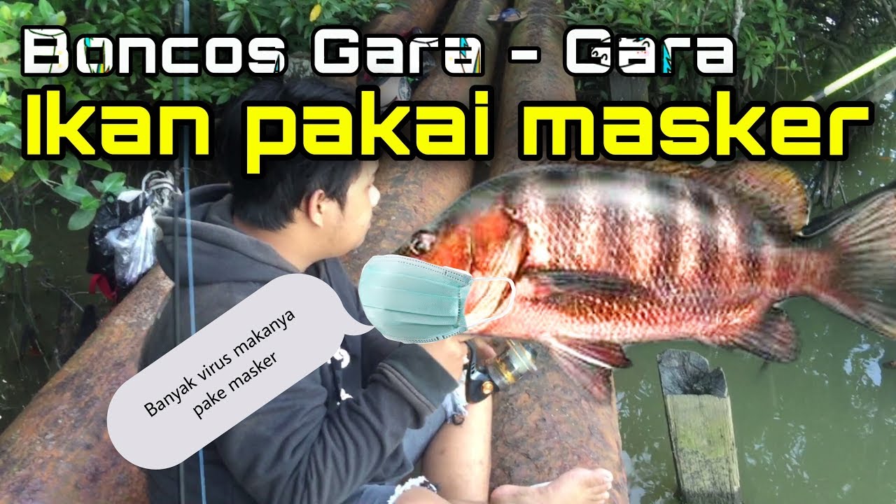  Gambar Lucu Ikan Pakai Masker  12 Meme Ayam Paling Gokil 