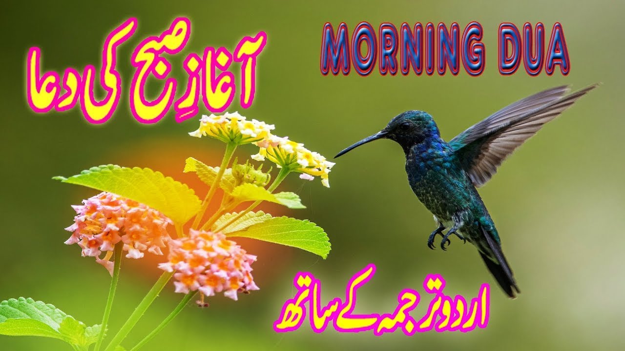 Subha Ki Dua  Morning Dua With Urdu translation  Must Listen Everyday
