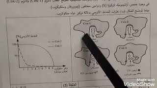 باك 2020 :مناقشة التمرين 2 الموضوع 1 الخاص بالانزيمات