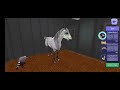 New stable tour:3 Horse Riding Tales