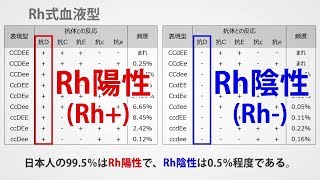 血液型の種類と発現割合 Youtube