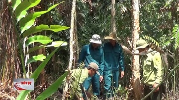 Tăng cảnh báo cháy cấp cao nhất toàn lâm phần rừng tràm Cà Mau