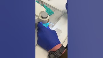 Histology Embedding
