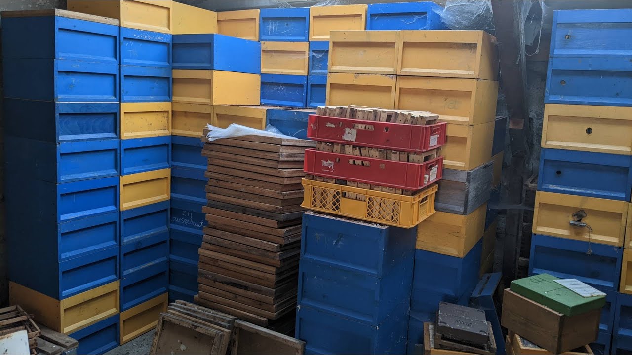 Von 20 auf 70 Völker - Problem #1 - Platz!