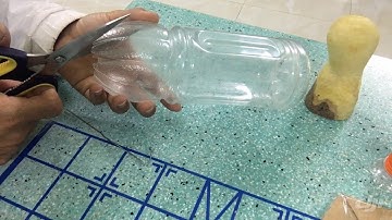 Làm bẩy chuột bằng ve chai đơn giản và hiệu quả