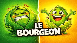 Le Bourgeon Poème De Paul Géraldy