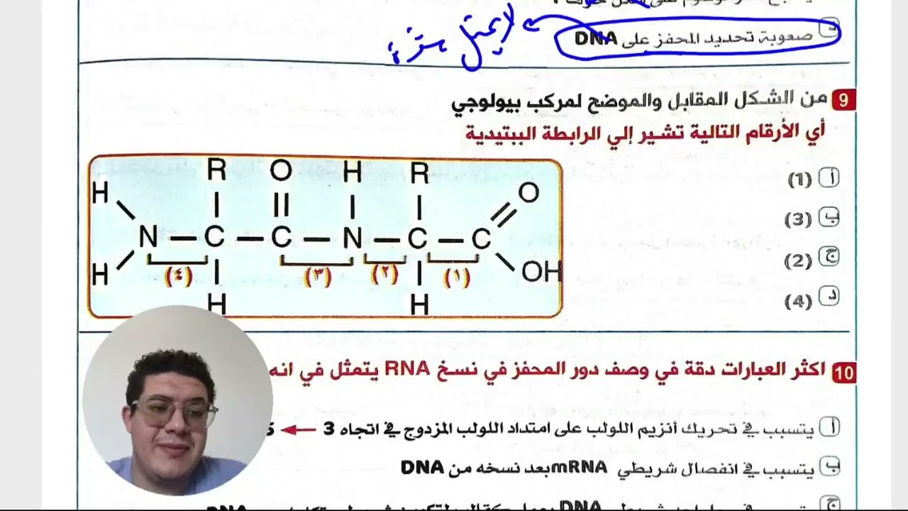 حل تدريبات مذكرة ليالي الامتحان  RNA