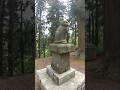 神社のリアルな狛猫が珍しい！