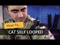 Cat selfapplication looped