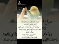 انشودة مصطفى مصطفى صلى الله عليه وسلم بصوت مشاري راشد العفاسي انشودة مصطفى مصطفى صلى الله عليه وسلم بصوت مشاري راشد العفاسي