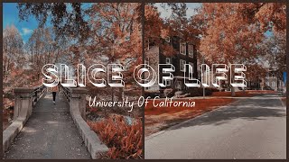 Famous what does the fall quarter at UC Davis look like? Net Worth