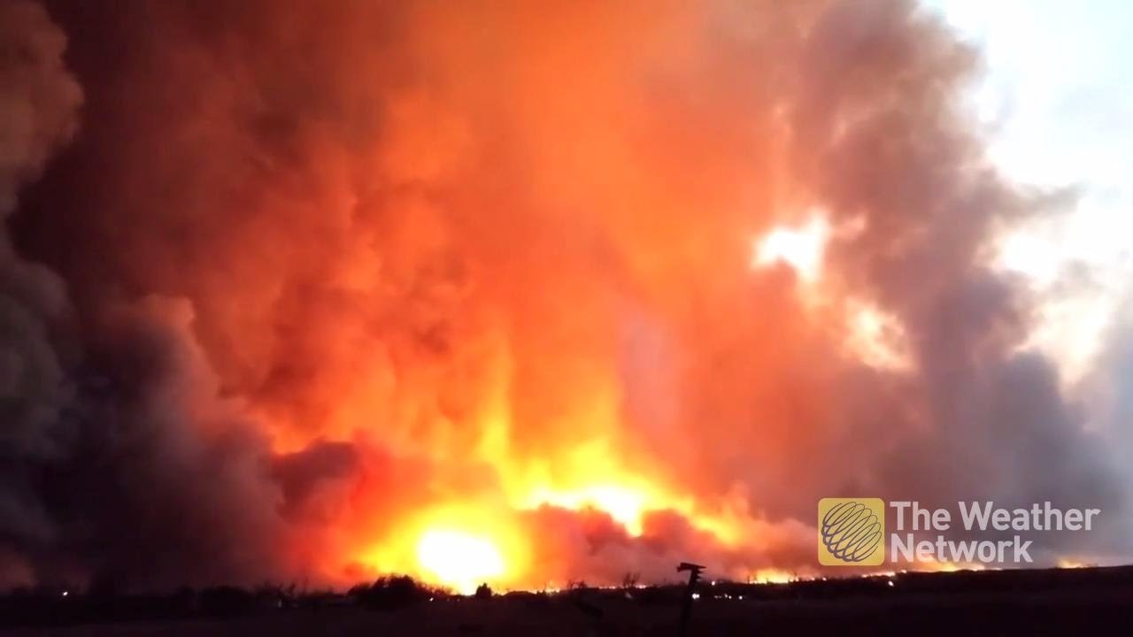 cold brew coffee MASSIVE grass fires burn through Texas panhandle