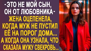 Жена Оцепенела, Когда Муж Не Пустил Её На Порог Дома. А Узнав, Что Наговорила Мужу Свекровь...