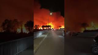 В Турции бушуют сильные лесные пожары