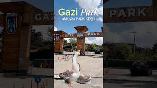 Gazi Park Ankara Aoç Şfet