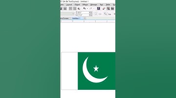 Pakistan flag in Corel DRAW #pakistan #flag #pakistanflag #14august #viralshorts #viralvideo