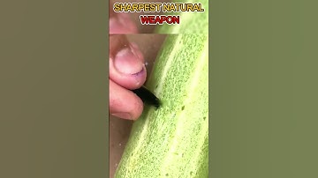 🖤 Obsidian Blade – The Sharpest Natural Weapon in History! ⚔️🔥