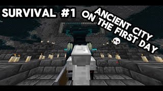 I started a Survival World 💀 (Survival Series? E1)