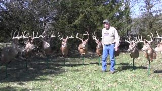 2016 Food Plot Update