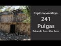 Exploración🧭Maya 241, Pulgas, Yucatán 🇲🇽