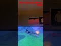 Rexy vs Zeb alternate ending