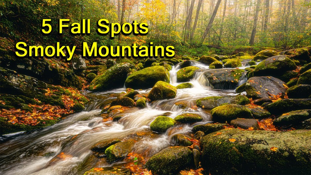 Smoky Mountains Fall Photography | My Top 5 Locations After 4 Days