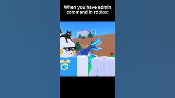 When you have admin commands on roblox: #roblox #funnymemes #memes #funny