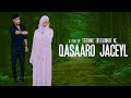 Qasaaro jaceyl  short film  mohan maqsuud sucdi  streamnxt originals