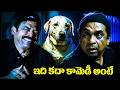 Venkatesh & Brahmanandam Non Stop Comedy Namo Vankatesa Movie Comedy Scenes | Telugu Comedy Scenes