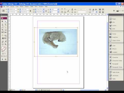 Импорт изображений и помещение их во фреймы в Adobe InDesign