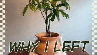 Is My Plant Collection Enough for YouTube