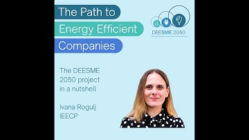 The Path to Energy Efficient Companies: The DEESME 2050 project in a nutshell