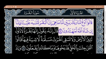 صفحة (11) من سورة البقرة تلاوة رائعة الشيخ ماهر المعيقلي وفقه الله