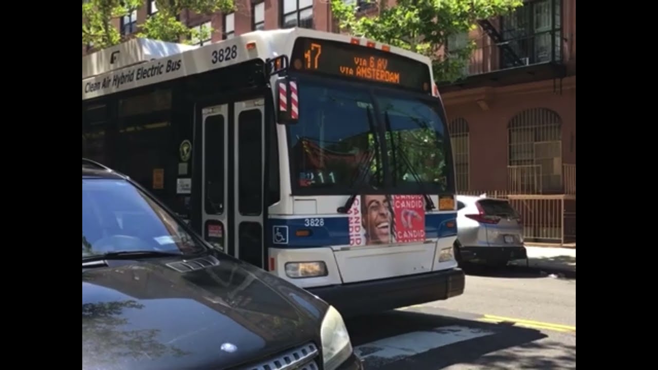MTA BUS Some Bus Actions On The M7 M116 BX19 Buses YouTube mta-bus-some-bus-actions-on-the-m7-m116-bx19-buses-youtube