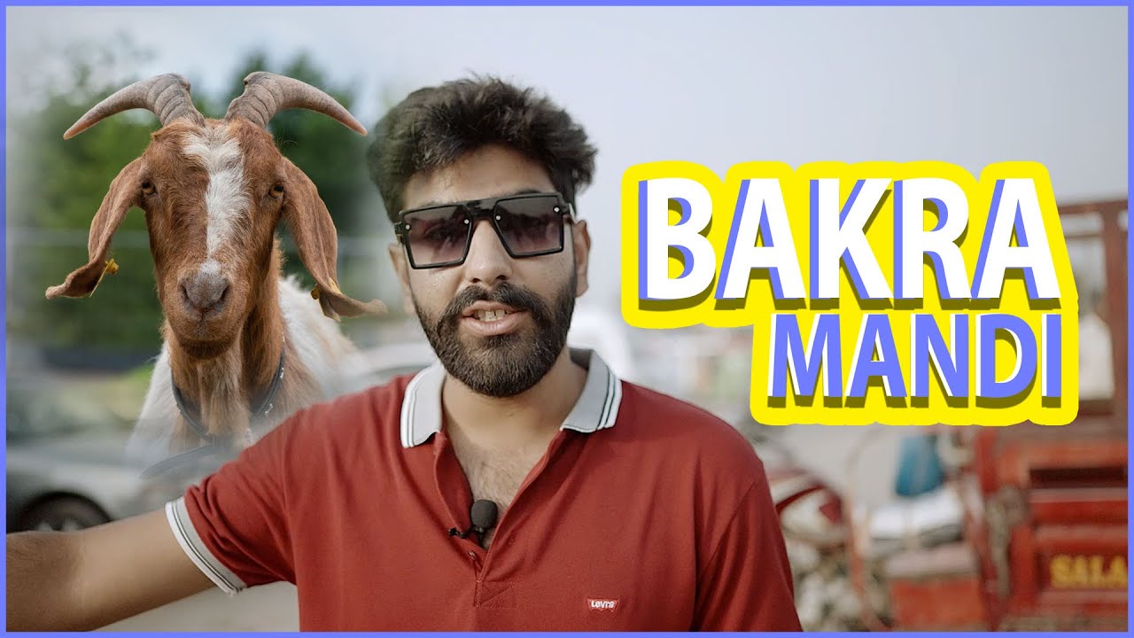 Bakra Mandi | part1| @mtahavlogs |2025| Lahore Model Mandi