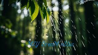 relaxing music with piano #fyp #love #foryou #music screenshot 4