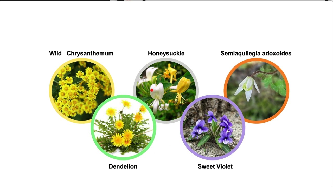 TCM formulas for abscess -'Yang He Tang', 'Wu Wei Xiao Du Yin', etc.