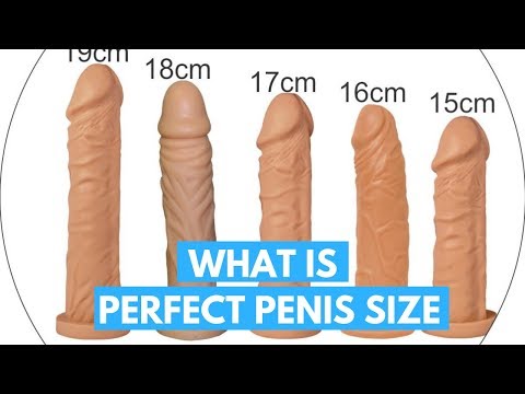 Die perfekte penis größe