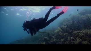 Make My Trip - Australia For Adventure Seekers ft. Diana Penty