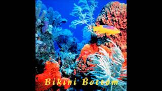 Worthikids - The Chaperone