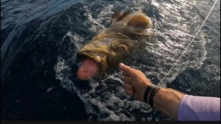 Mahi and grouper one day, goliath, more groupers, muttons and triggers on the next
