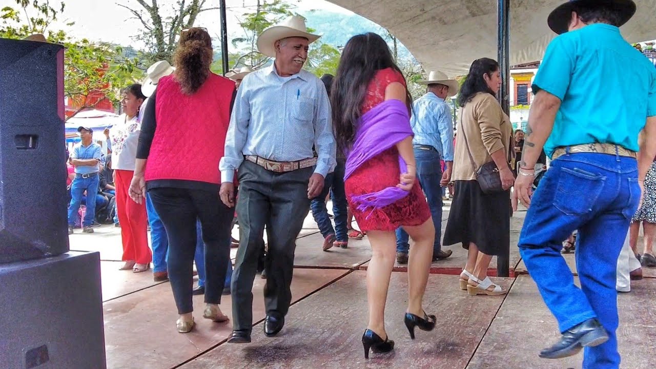 DOMINGO DE HUAPANGO EN XILITLA 🇲🇽 EDICIÓN 636 - TRÍO ENERGÍA HUASTECA 🎶🎻