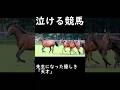 【泣ける競馬】先生になった優しき「天才」【ゆっくり解説】#shorts #競馬 #共同通信杯